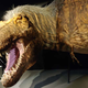 El aspecto del T-Rex, según las reconstrucciones más recientes y realistas es incluso más aterrador que el de Jurassic Park.